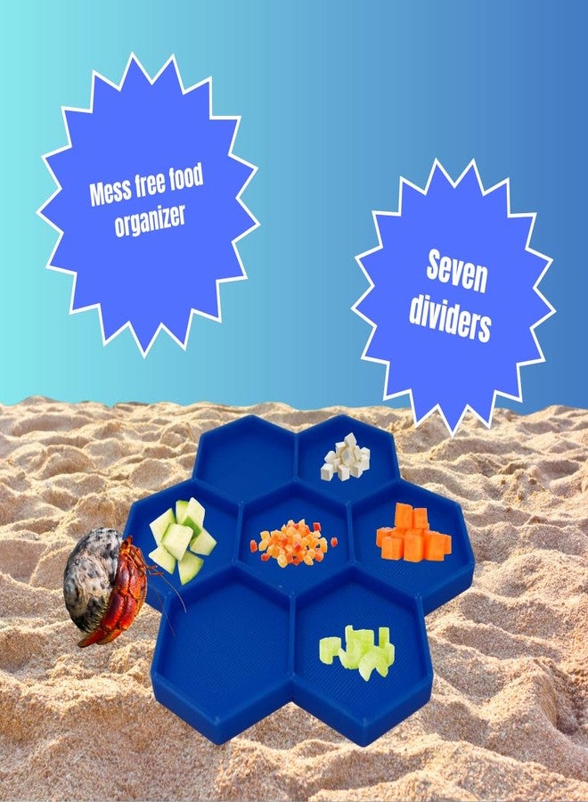 Chatelet Hermit Crab Feeder Dish | 7 Tray Dish for Crab or Snail Feeding | Mix & Match Crab Food | Made in USA (Blue, Hexagon) - Image 3